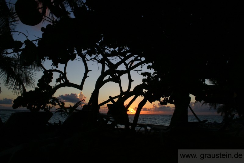 Sonnenaufgang Punta Cana.jpg