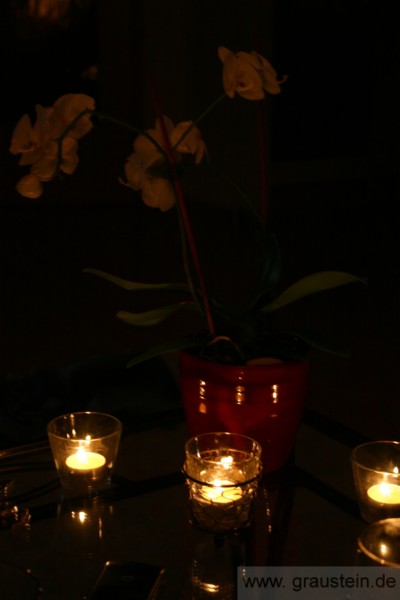 Orchidee by night.jpg