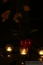 Orchidee by night.jpg